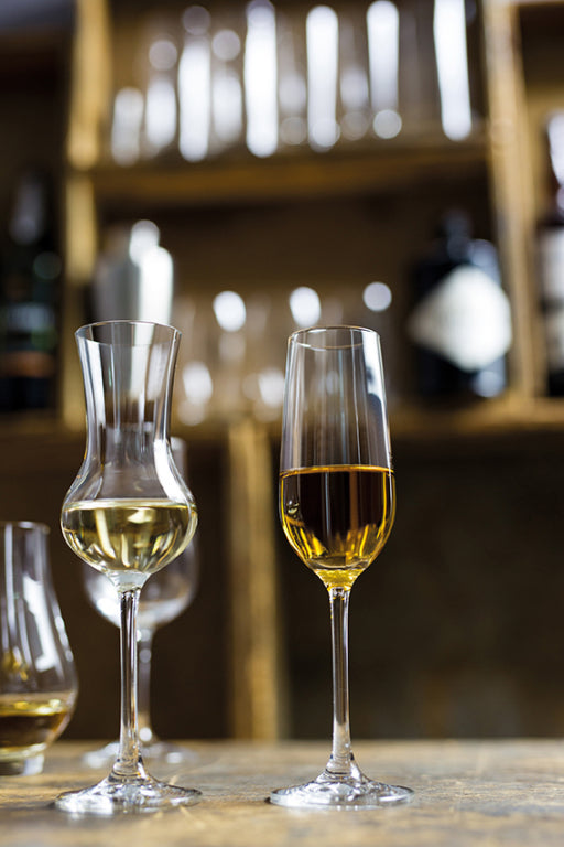 Schott Zwiesel Bar Special Grappa Glass 11 Cl - 6 Pieces