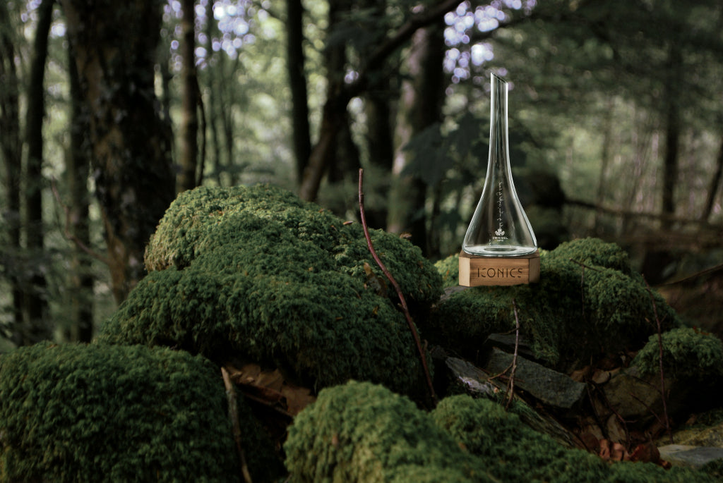 Zwiesel Glas Iconics Decanter 75 Cl with Wooden Base