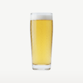 Mammoet Budgetline fløjteølglas 19 cl – 12 stk.