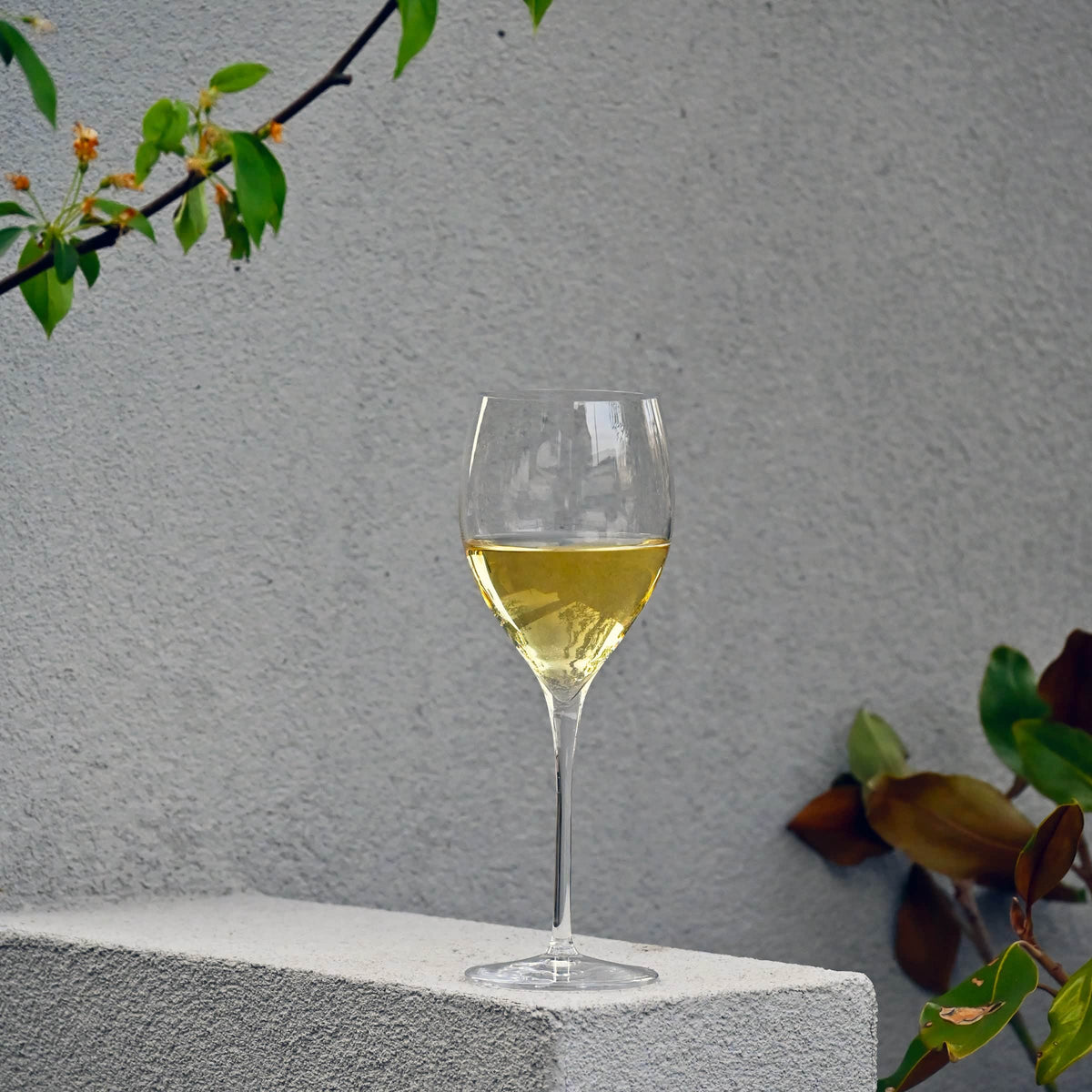 Luigi Bormioli Magnifico Champagneglas / Flute 32 Cl - 2 Stuks - Glazen.nl