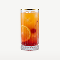 Pasabahce Elysia Highball Glass 28 Cl Gold Rim - 4 Pieces