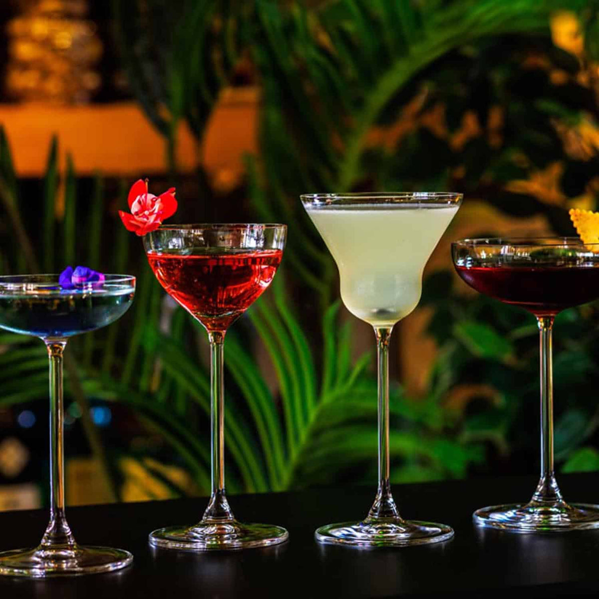 Onis Bespoke Cocktailglas 15,5 Cl Nick & Nora - 6 Stuks - Glazen.nl